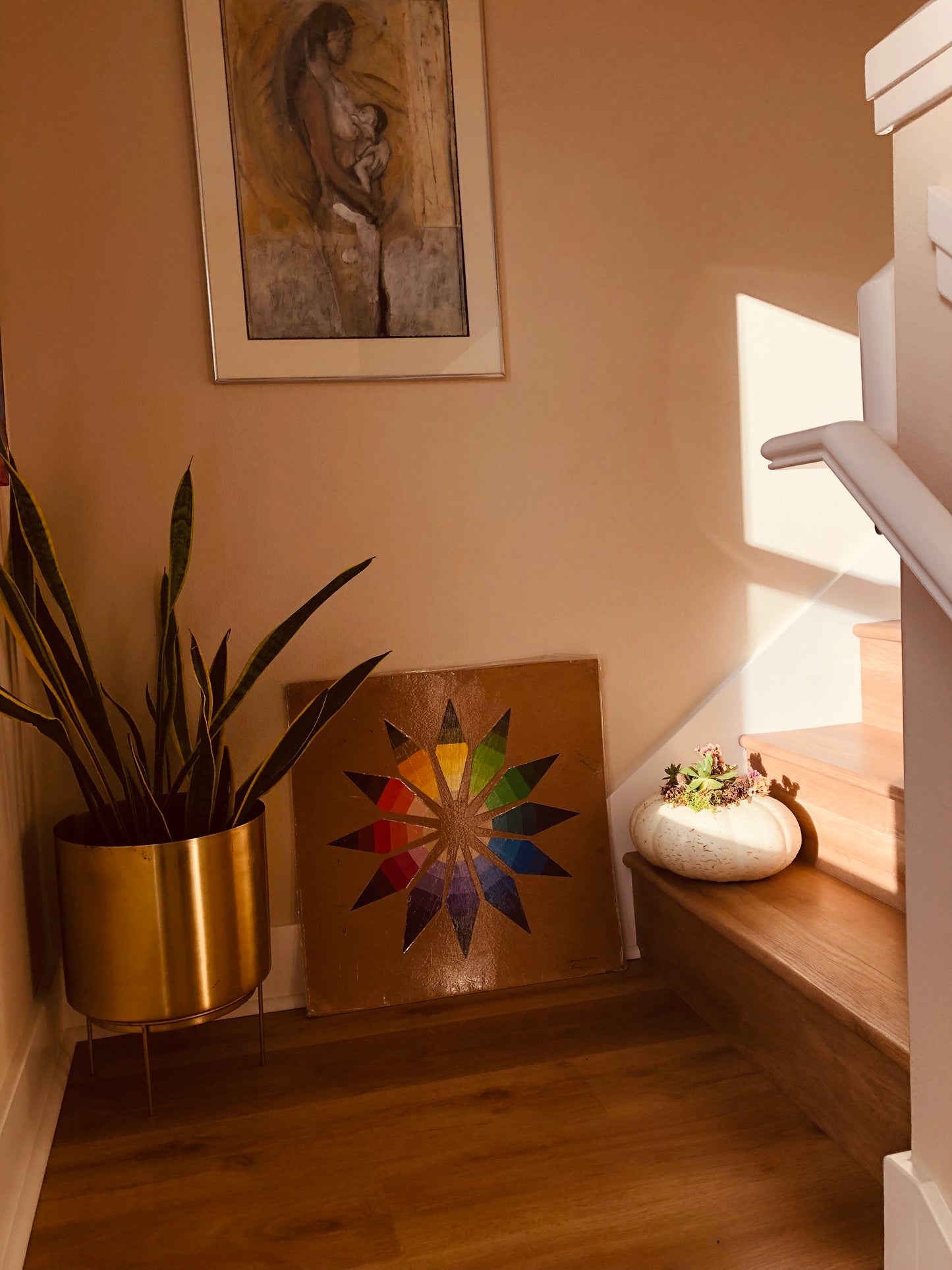 Succulent pumpkins. 3 small white, 5 small orange, and 1 large orange with lights, and one large white available.